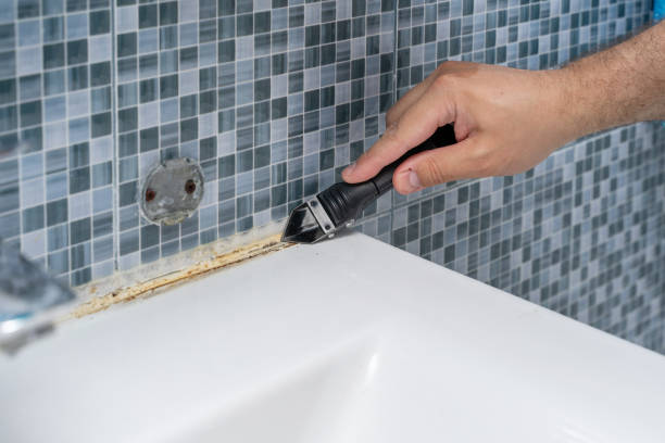 Best DIY Mold Remediation Support Services in Brackettville, TX